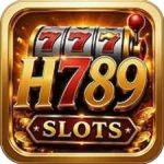 H789 GAME